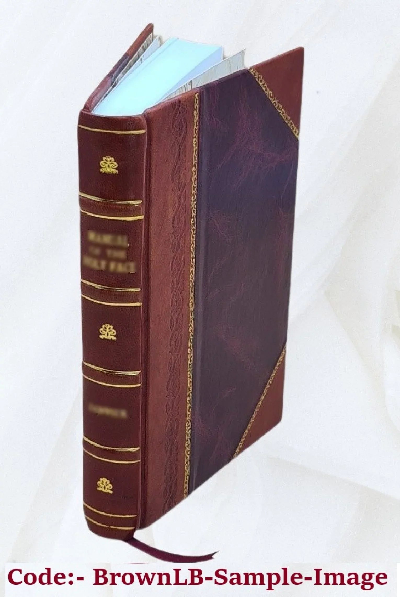 Stories of industry ... by A. Chase and E. Clow. Volume v. 2 1915 [Leather Bound]