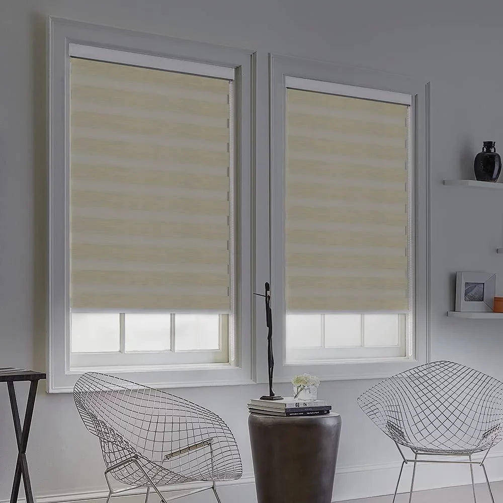 LUCKUP Zebra Blinds for Windows, Dual Layer Roller Sheer Shades Blinds for Day and Night, Light Control Window Treatments Shades with Valance Protection 29" W x 72" L, Striped Beige