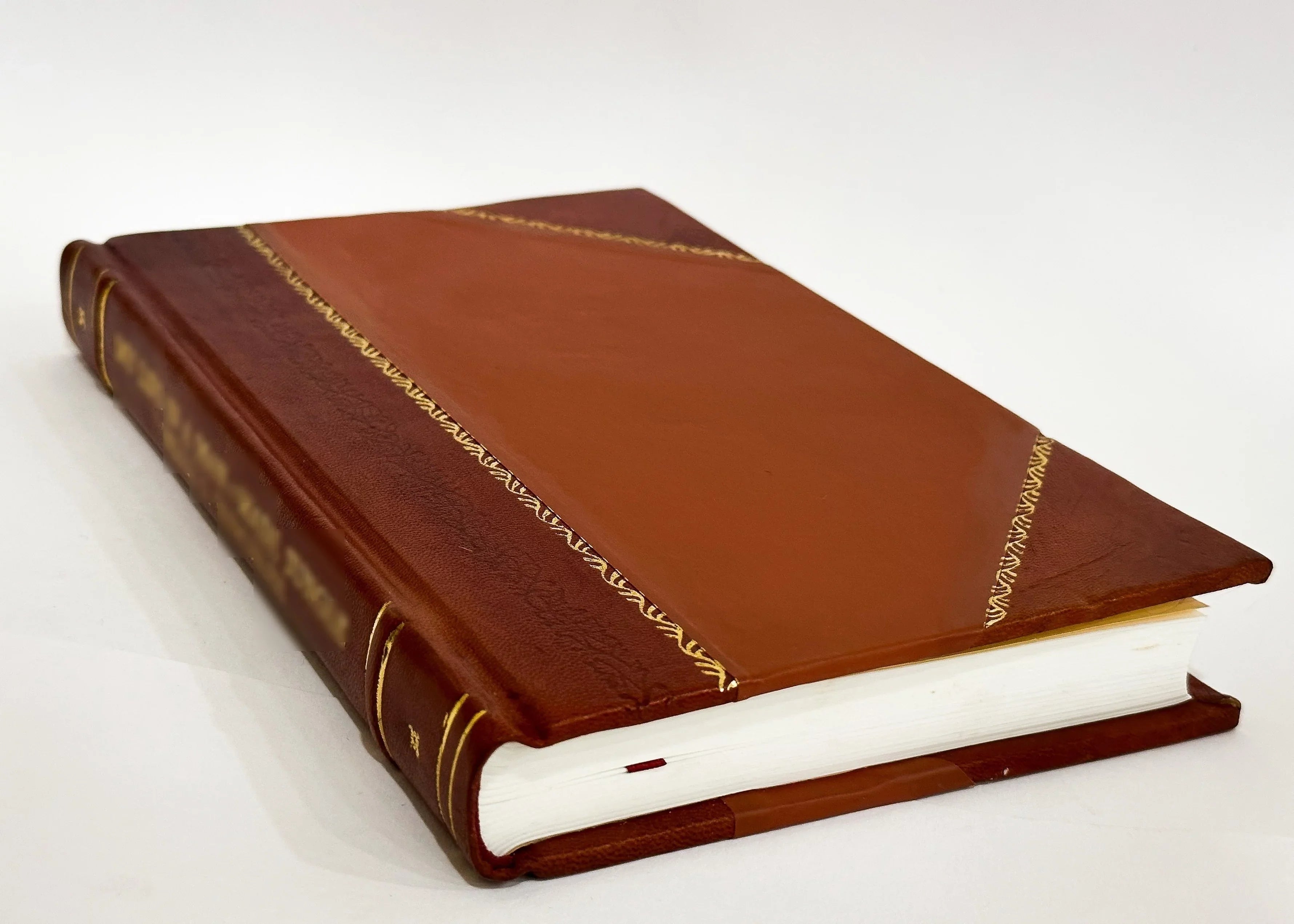 Lombardia Eroica / Giovanni Bertacchi (1911) (1911) [Leather Bound]