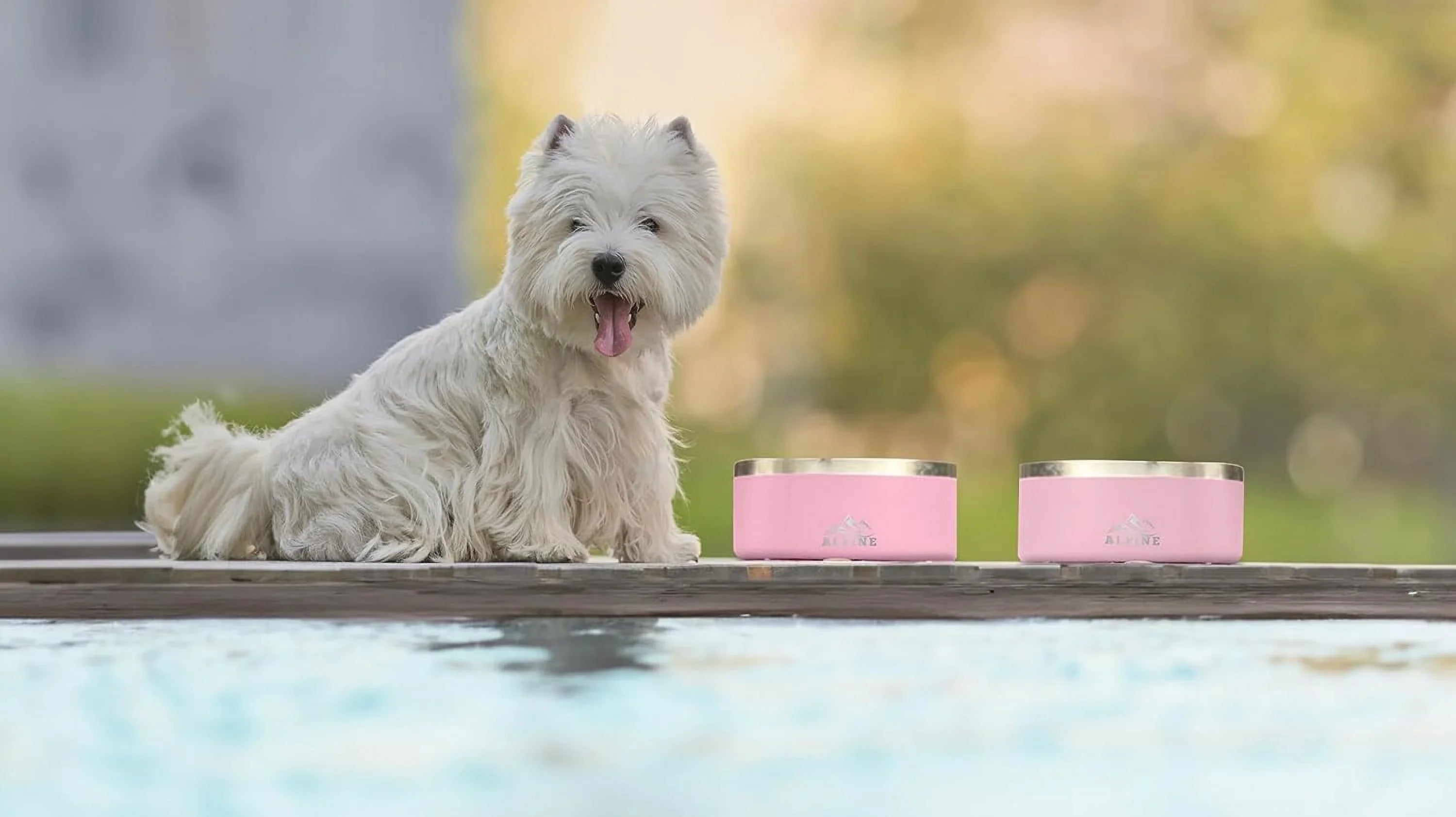 ALPINE Set of 2 Stainless Steel Dog Bowls, Non Slip, Metal Pet Bowl for Food and Water, Double Walled Insulated, Rustproof, Dishwasher Safe (32 oz, Pink)