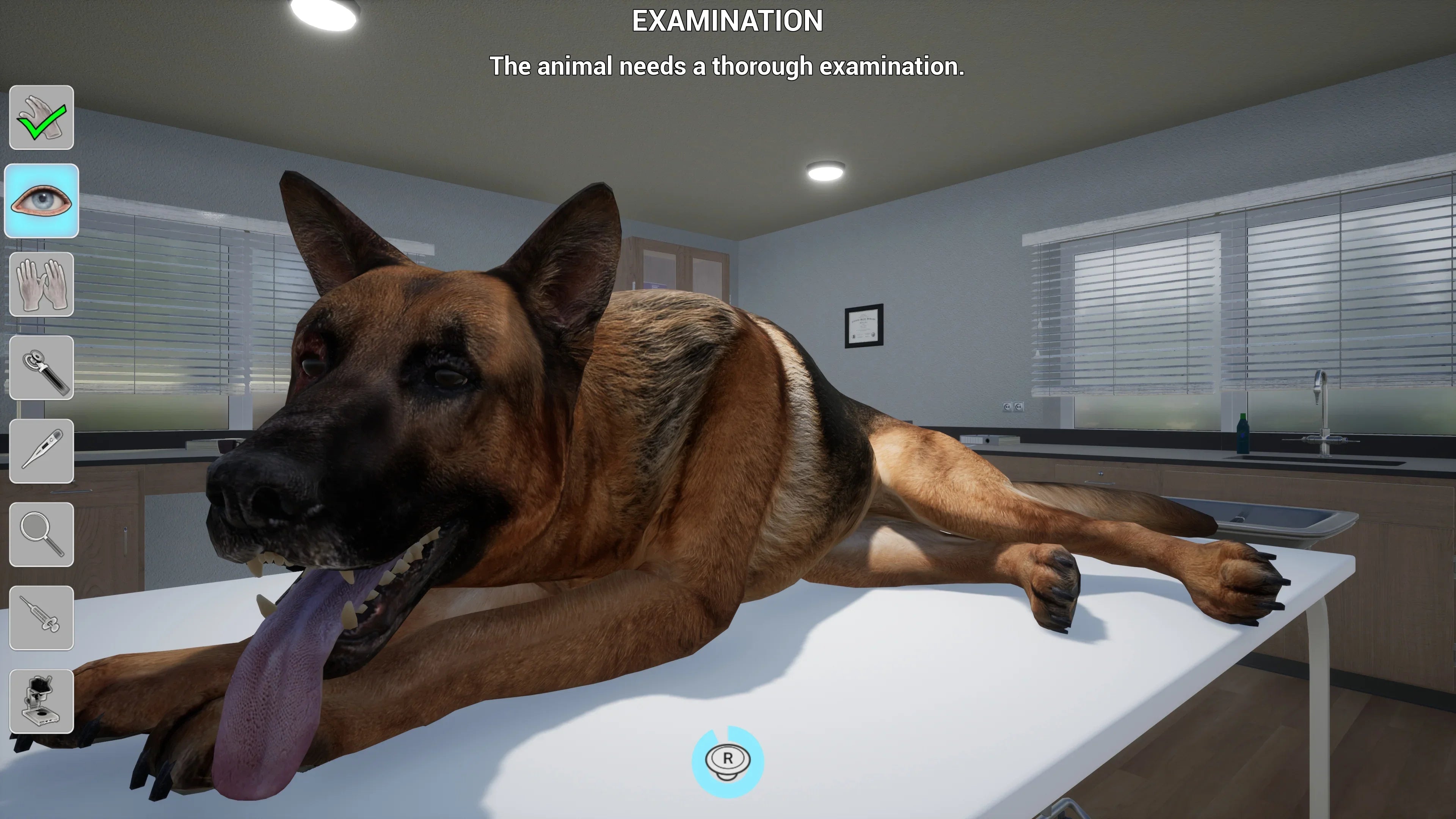 My Life: Pet Vet, PlayStation 5