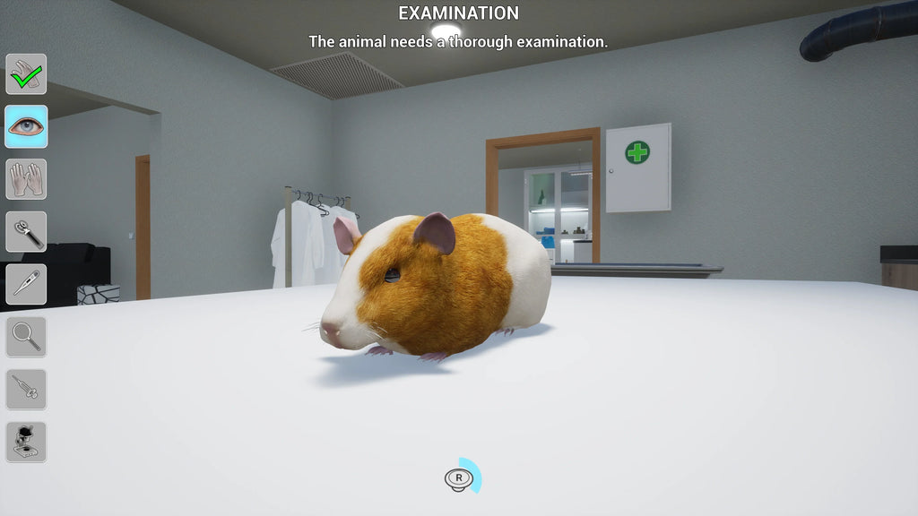 My Life: Pet Vet, PlayStation 5