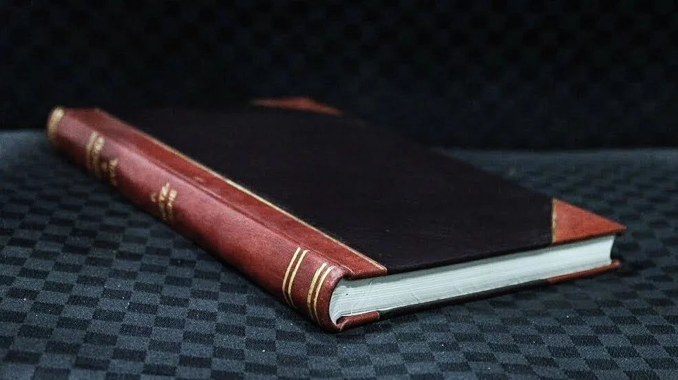 The high road to health, by Dr. James E. Kelly, with illustrations by William Carroll (1921) [Leatherbound]