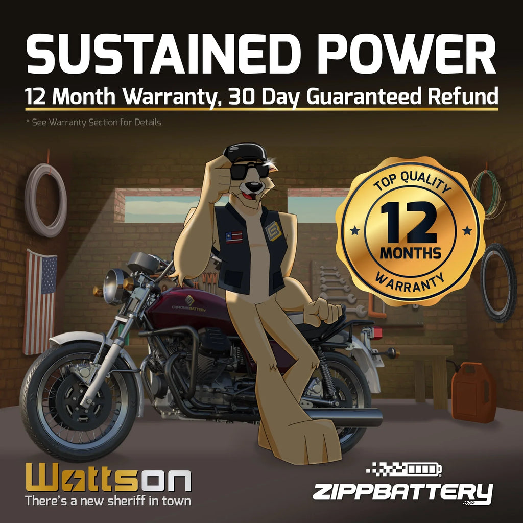 Zipp Battery Ytx5L-Bs Atv Battery for Polaris 90Cc Predator Sportsman Outlaw 2003