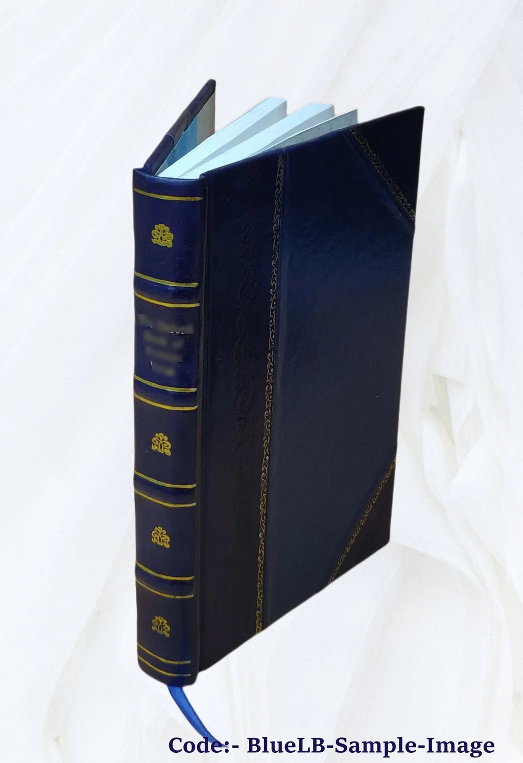 Squire Silchester's whim Volume 2 1873 [Leather Bound]