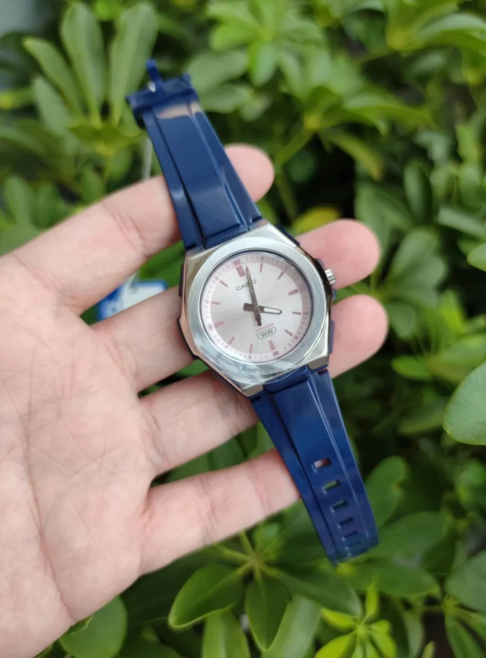 Casio Female Adult's Analog Quartz 100m Pink Dial Blue Resin Watch LWA300H-2EV