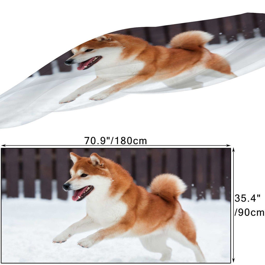 FREEAMG Red Shiba Inu Dog Silk Long Scarf for Women Large Oblong Sunscreen Shawls Wraps Neck Headscarf Hair Wraps Gift Packed