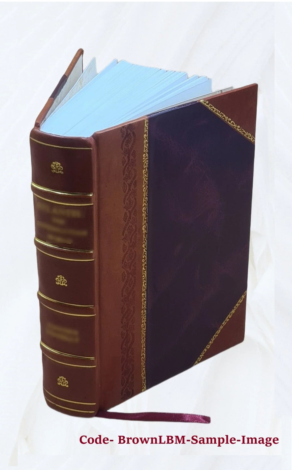 Opera omnia Volume v.17 1891 [Leather Bound]