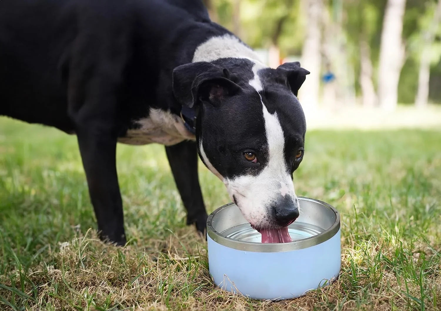 ALPINE Set of 2 Stainless Steel Dog Bowls, Non Slip, Metal Pet Bowl for Food and Water, Double Walled Insulated, Rustproof, Dishwasher Safe (32 oz, Pink)