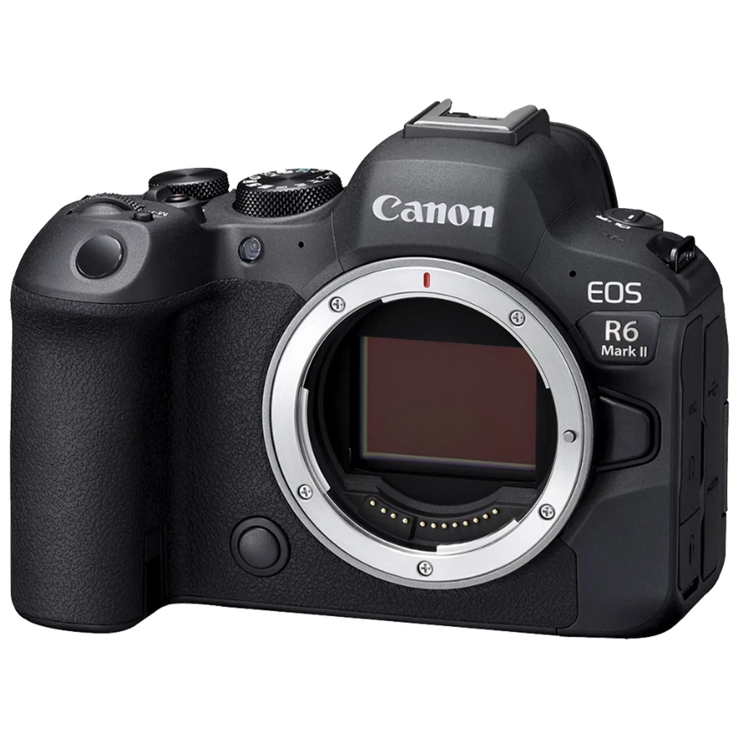 Canon EOS R6 Mark II Mirrorless Camera with RF 24-105mm Lens + EF 75-300mm + Mount Adapter + 2 Pack SanDisk 32GB Memory Card + LED Flash + Case + ZeeTech Accessory