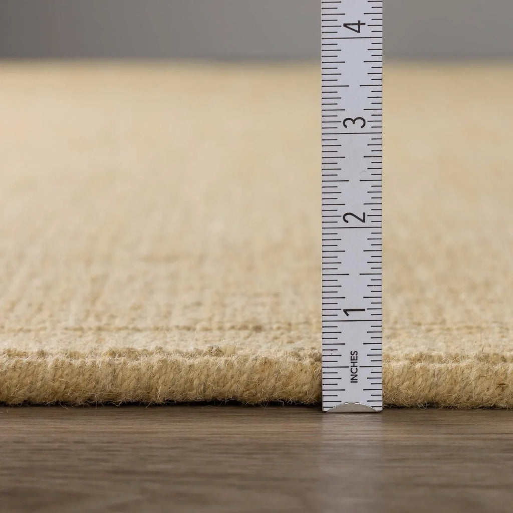 Daylon Sisal MC100 2'X3' Rug MC100HO2X3