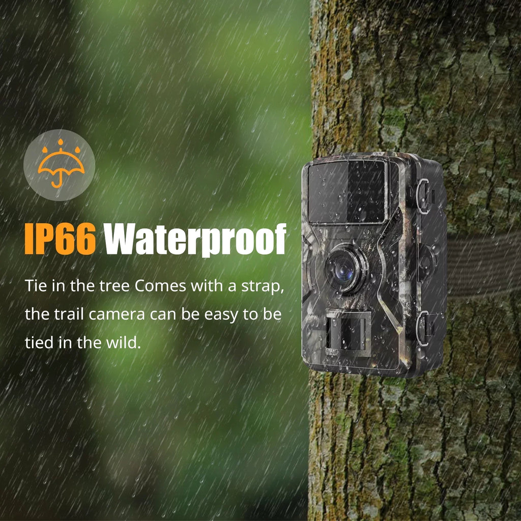 Irfora Camera,Ir VisionDisplayFarm 1080p Camera With 2.4'' Tft Color Camera With Ir Ip66 Waterproof 0.6s Time And 2.4'' Waterproof 0.6s TimeIp66 WaterproofQisuo