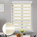 LUCKUP Zebra Blinds for Windows, Dual Layer Roller Sheer Shades Blinds for Day and Night, Light Control Window Treatments Shades with Valance Protection 29" W x 72" L, Striped Beige