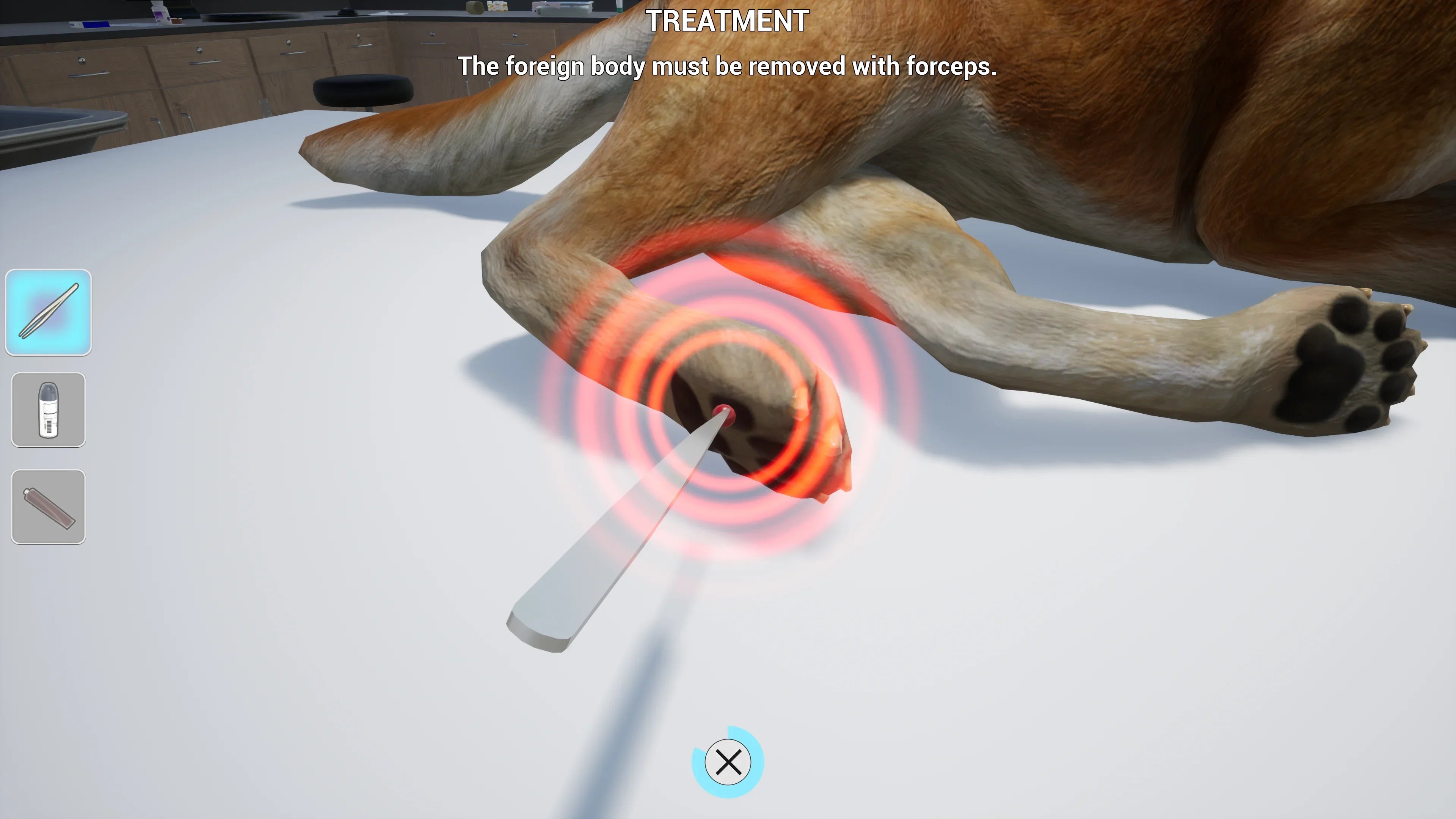 My Life: Pet Vet, PlayStation 5
