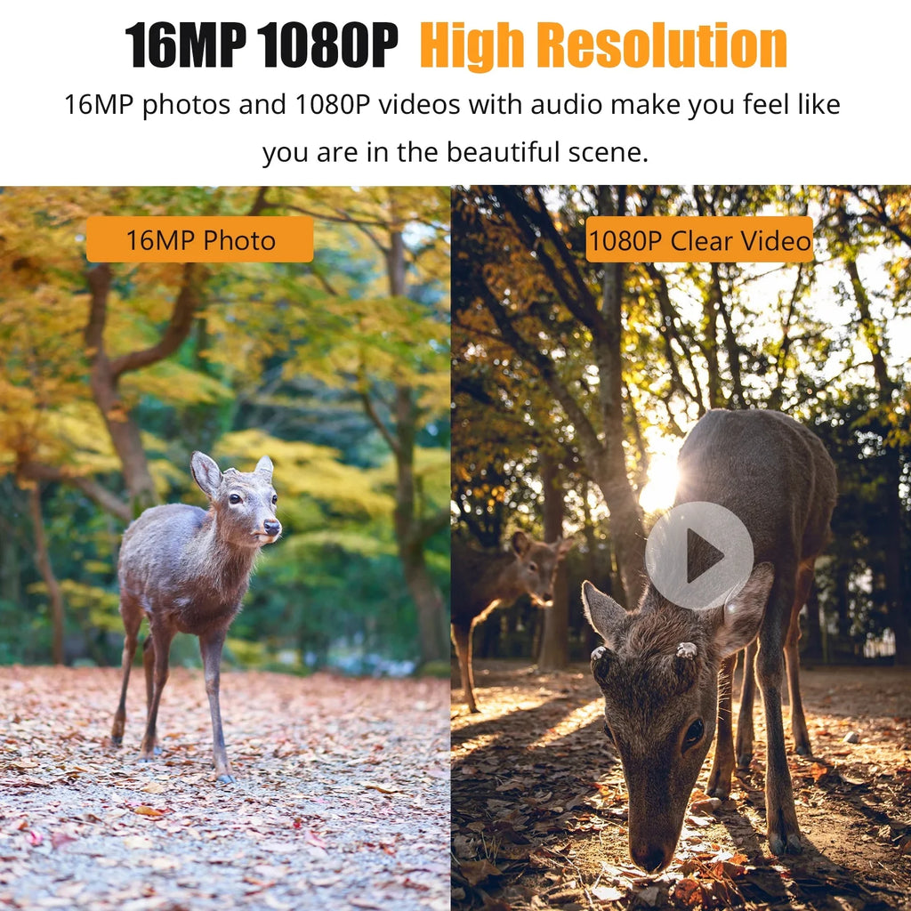 Irfora Camera,Ir VisionDisplayFarm 1080p Camera With 2.4'' Tft Color Camera With Ir Ip66 Waterproof 0.6s Time And 2.4'' Waterproof 0.6s TimeIp66 WaterproofQisuo