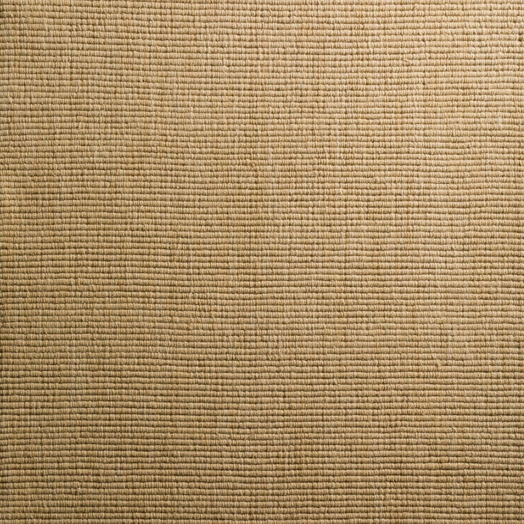 Daylon Sisal MC100 2'X3' Rug MC100HO2X3