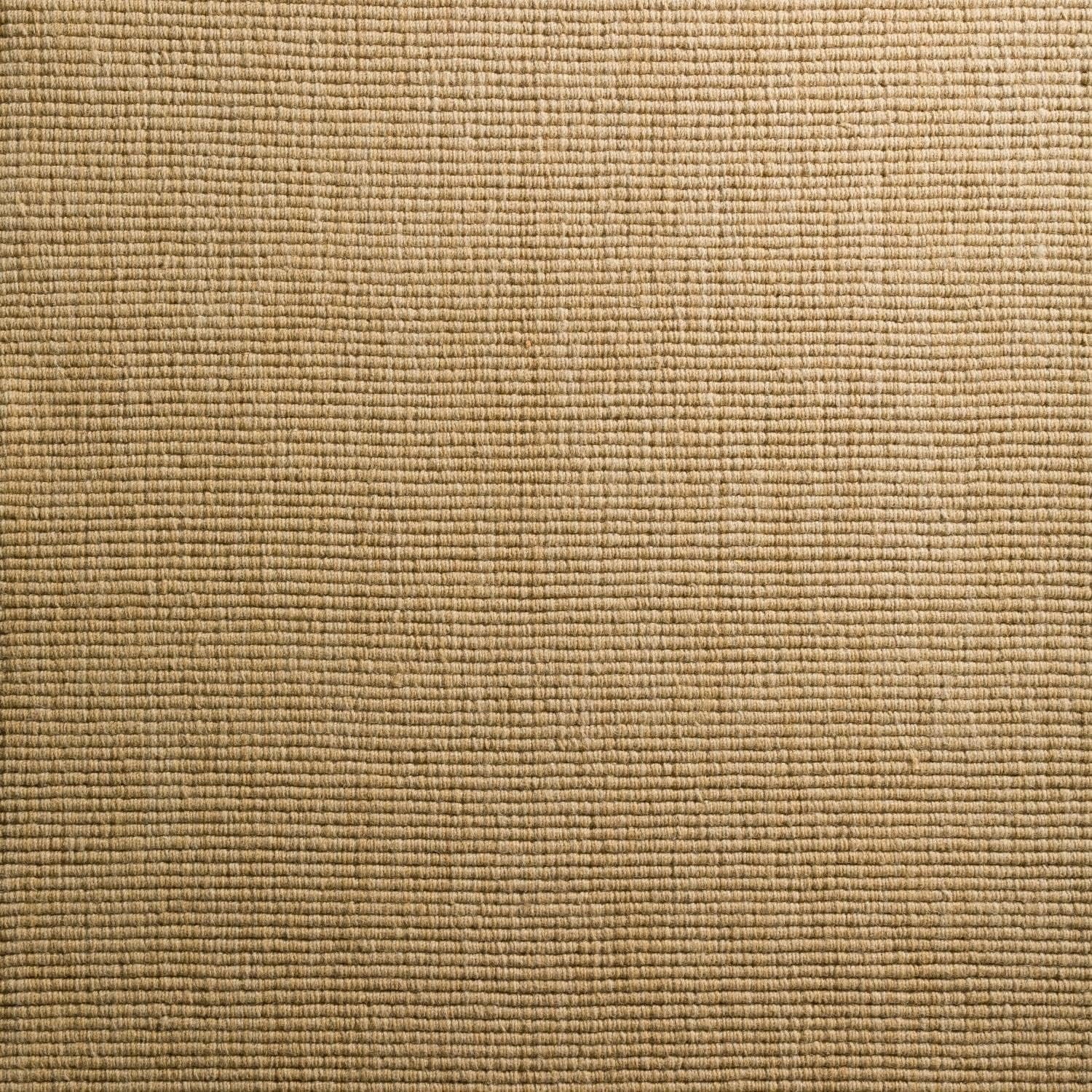 Daylon Sisal MC100 2'X3' Rug MC100HO2X3