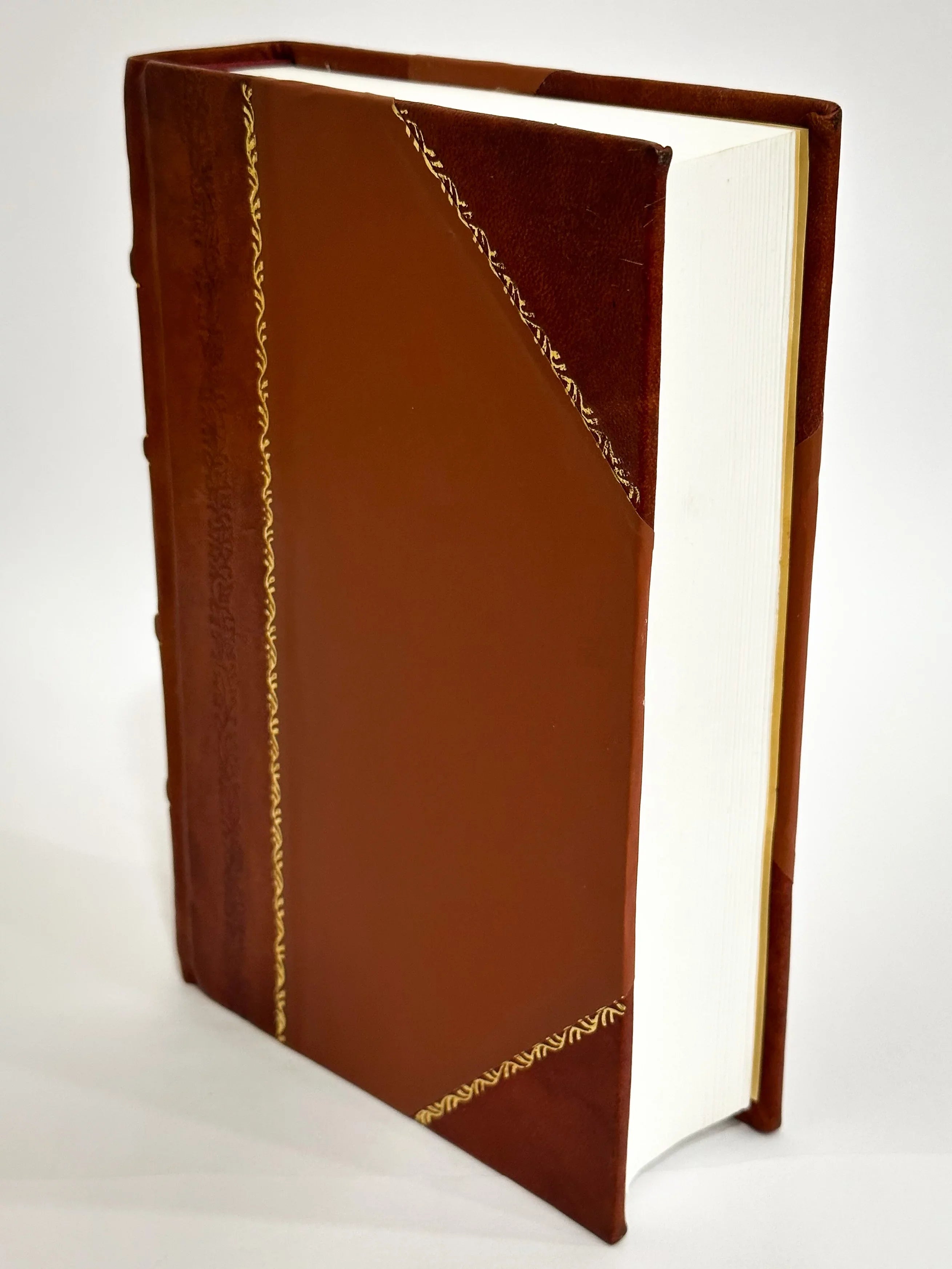 Libri Omnes: De Octo Partibus Orationis Xvi Deque Constructione Earundem Ii, De Xii Primis Aeneidis Librorum Carminibus (Etc.) Rufini Item De Metris Comicis Et Oratoriis Numeris (1528) [Leather Bound]