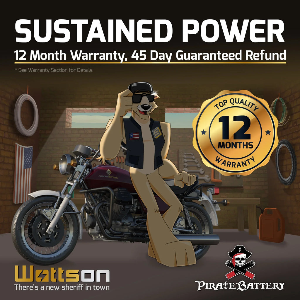 Pirate Battery Y50-N18L-A3 (50-N18L-A3 12 Volt,20 Ah, 260 CCA) Power Sports Battery replaces Gtx18l-bs M6250h 44006