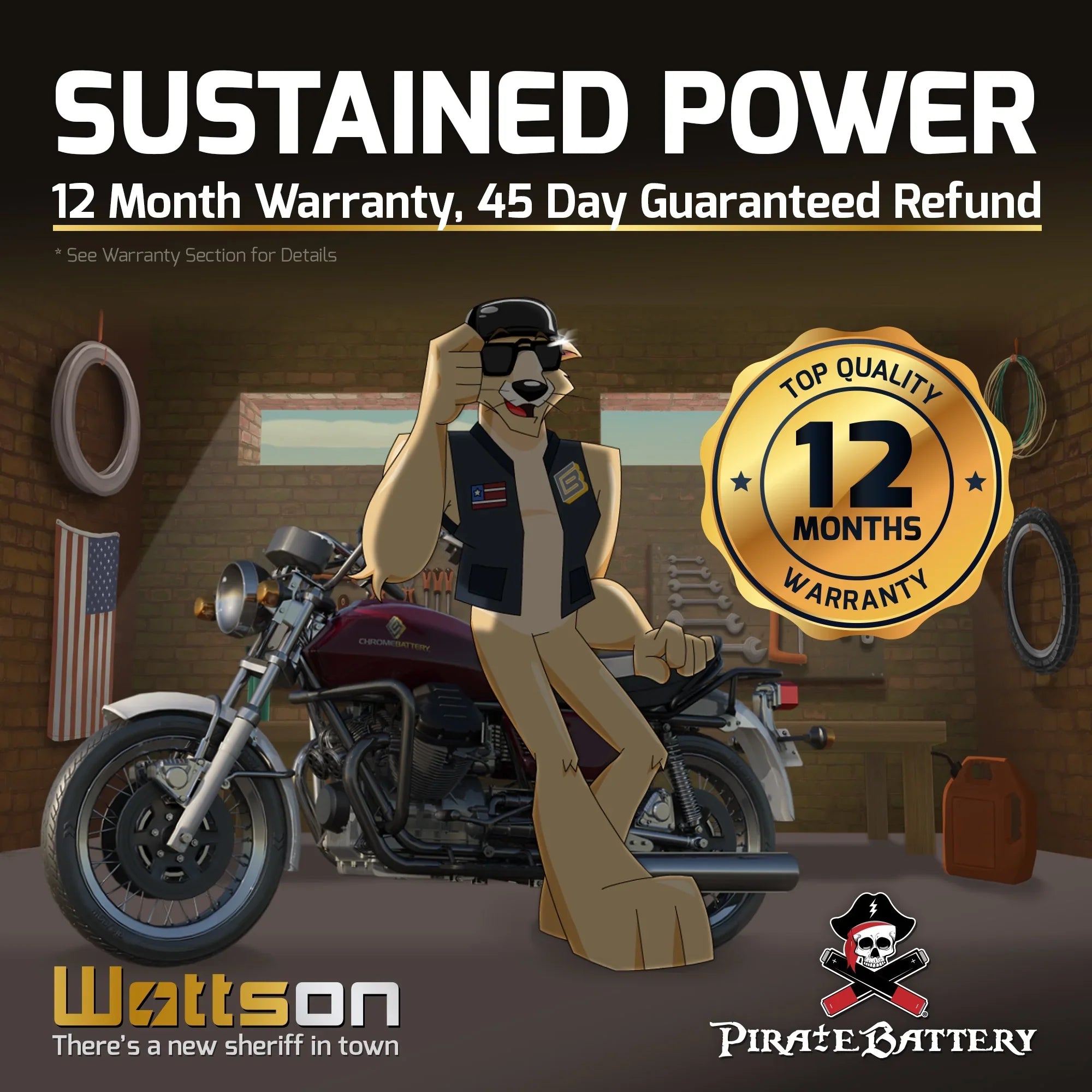 Pirate Battery Y50-N18L-A3 (50-N18L-A3 12 Volt,20 Ah, 260 CCA) Power Sports Battery replaces Gtx18l-bs M6250h 44006