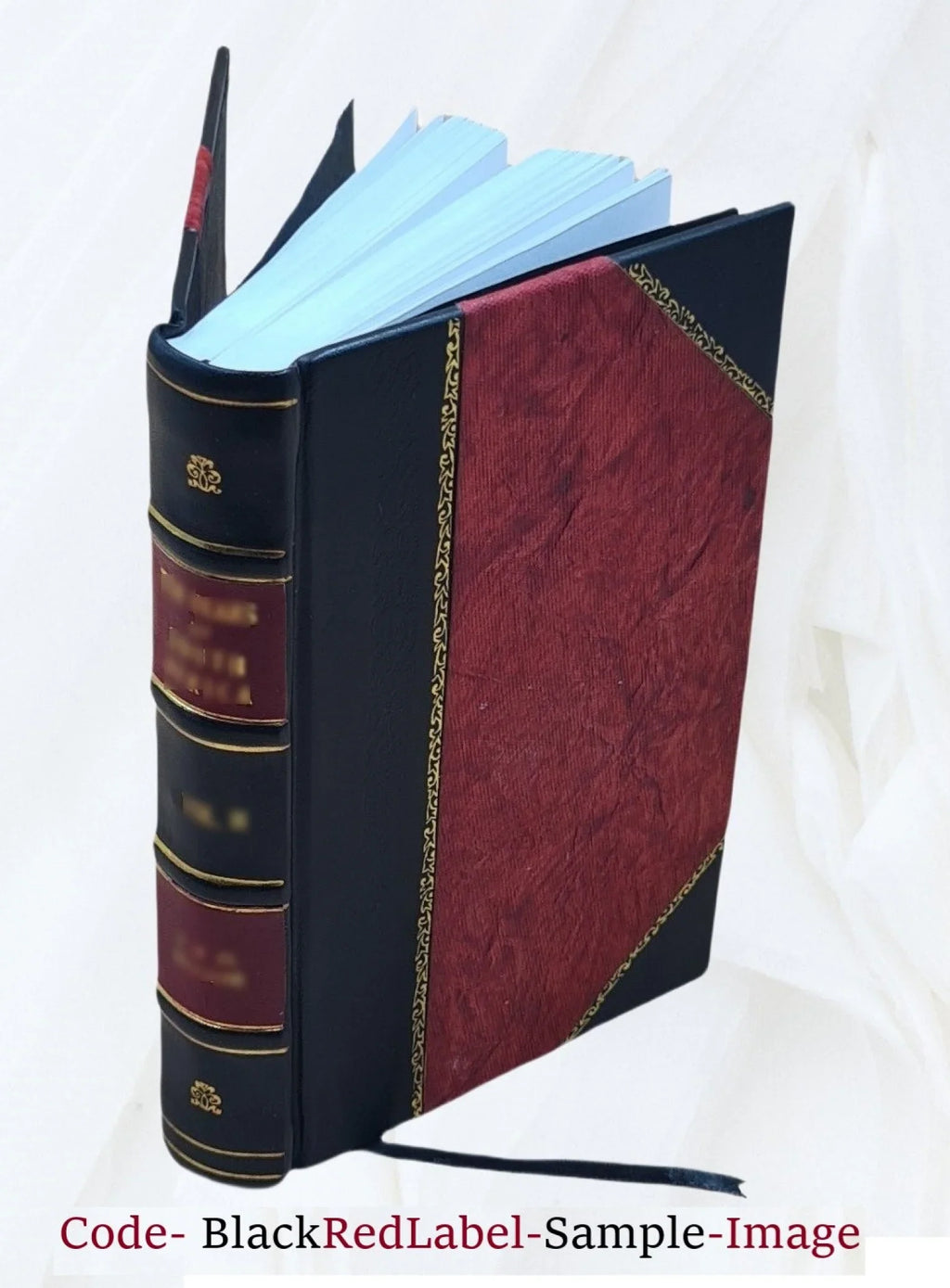 Picturesque South Devonshire 2022 [Leather Bound]