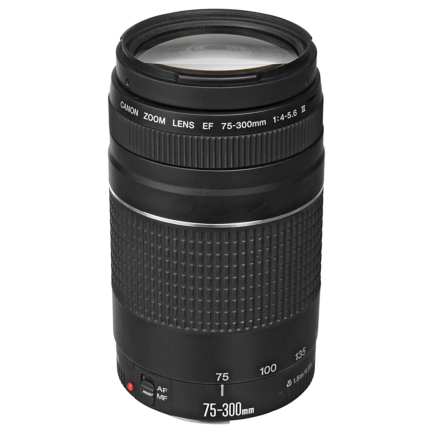 Canon EOS R6 Mark II Mirrorless Camera with RF 24-105mm Lens + EF 75-300mm + Mount Adapter + 2 Pack SanDisk 32GB Memory Card + LED Flash + Case + ZeeTech Accessory